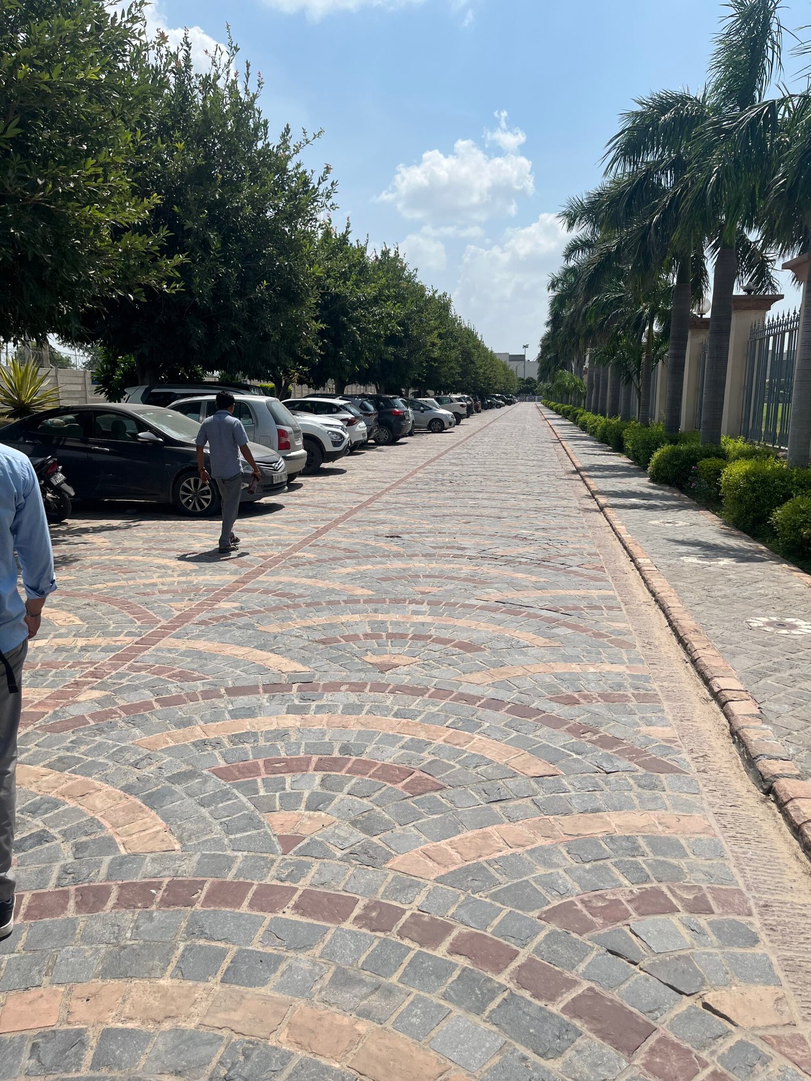 Pathway
